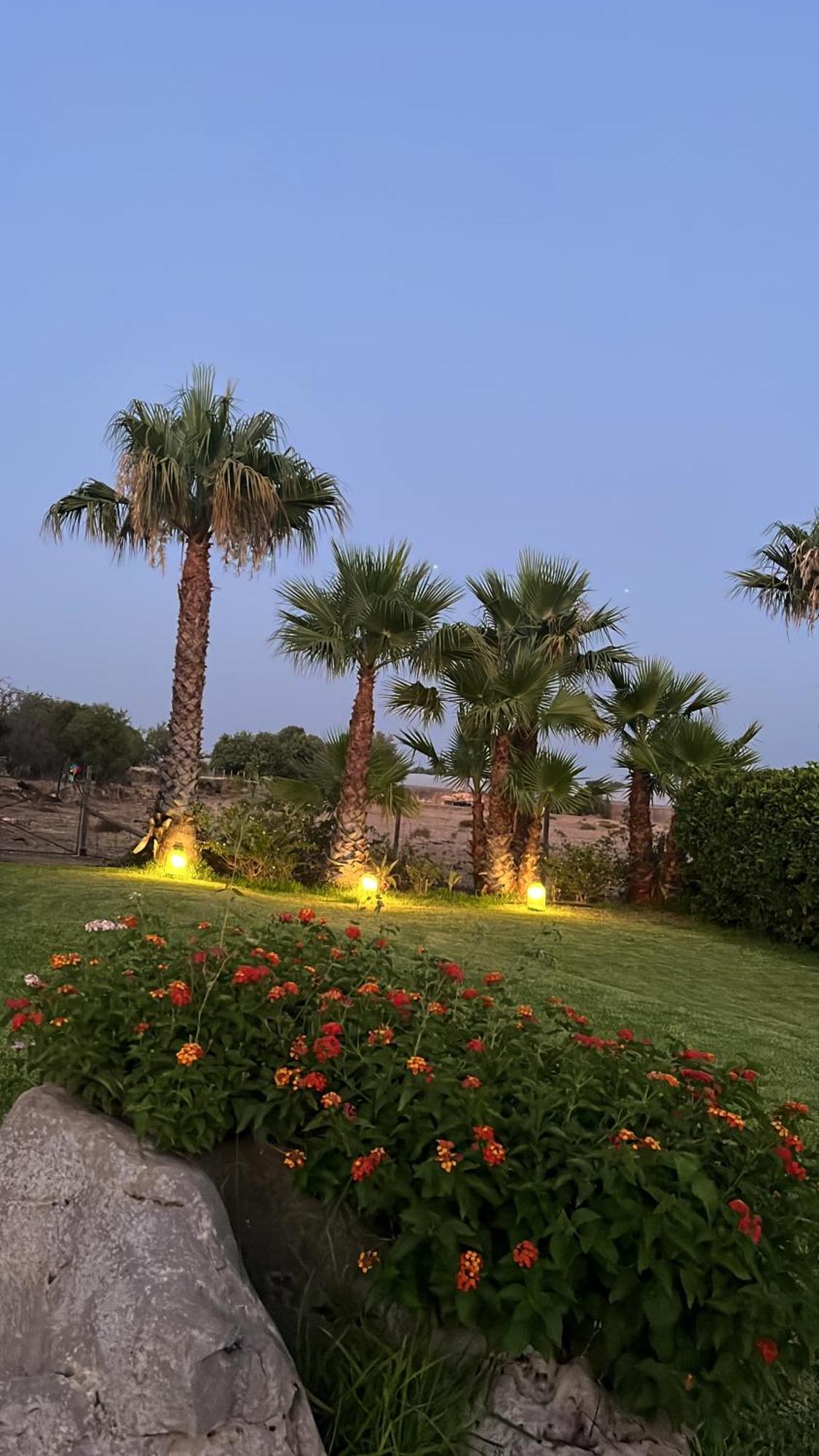 Masseria Boscorotondo