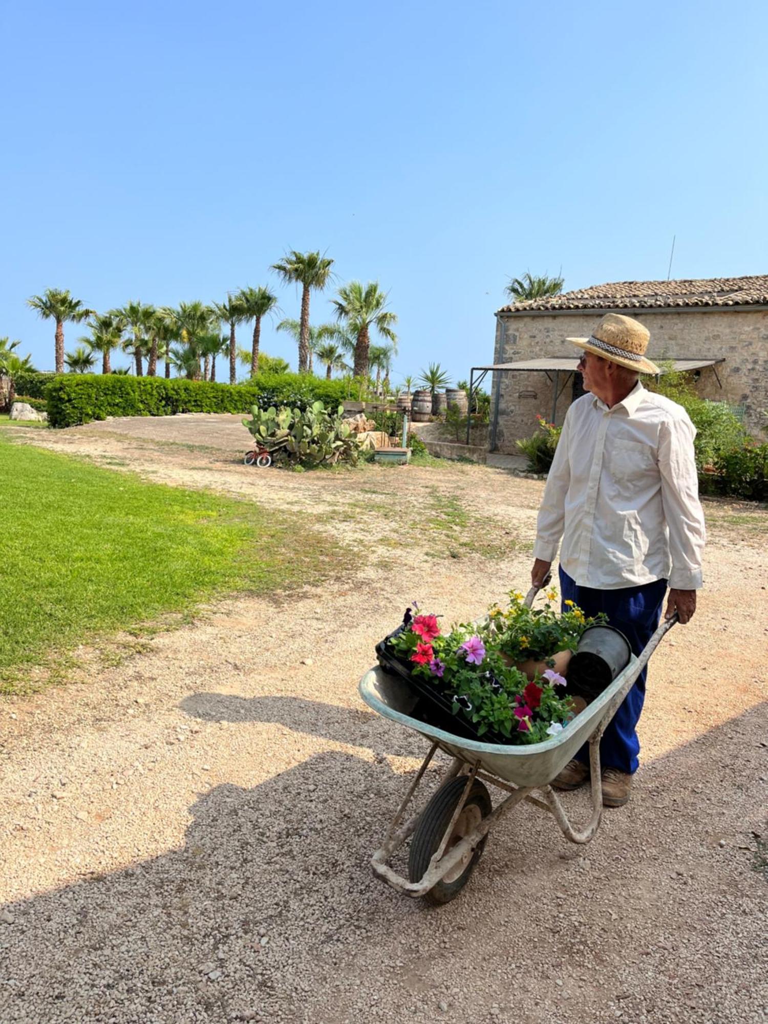 Masseria Boscorotondo Séjour à la ferme *