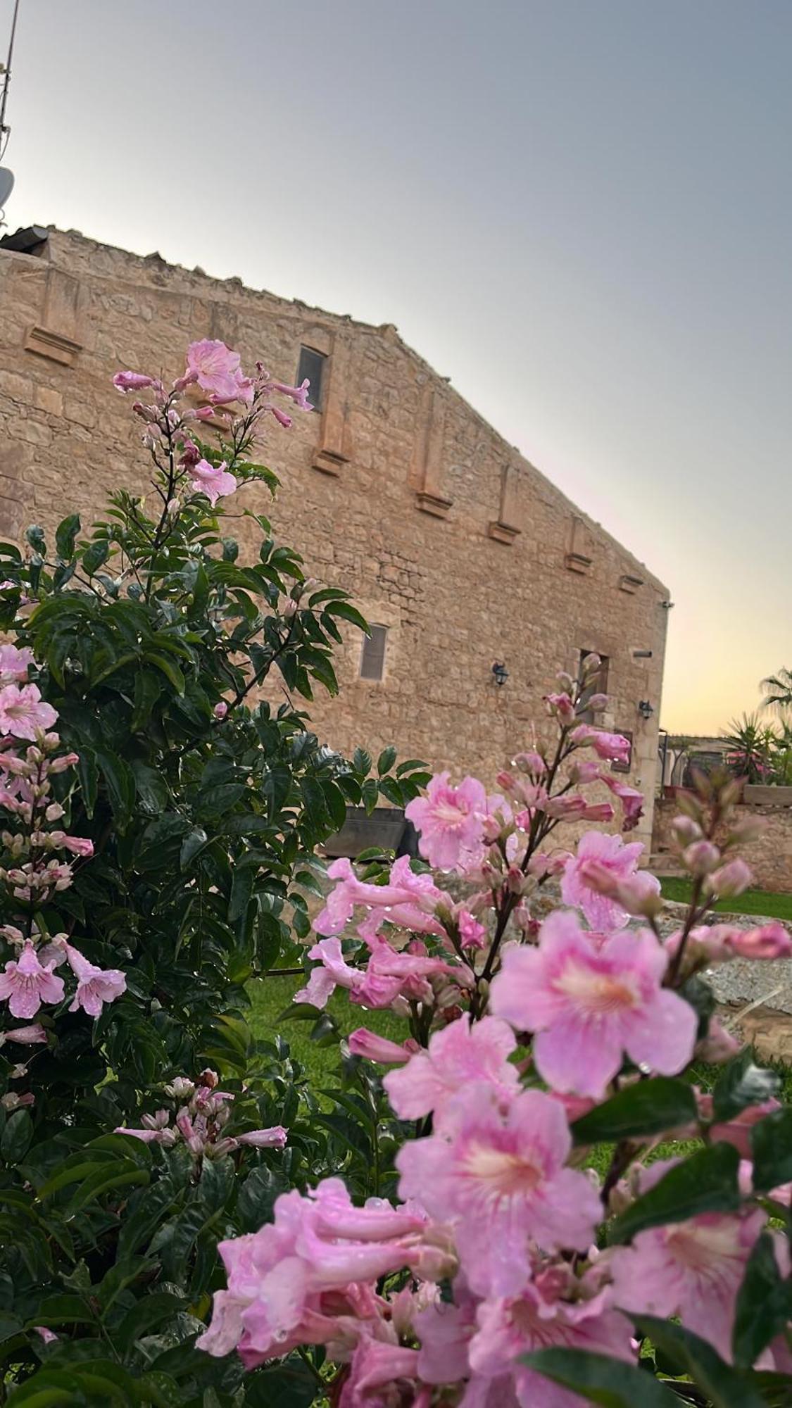 Masseria Boscorotondo Séjour à la ferme Scicli